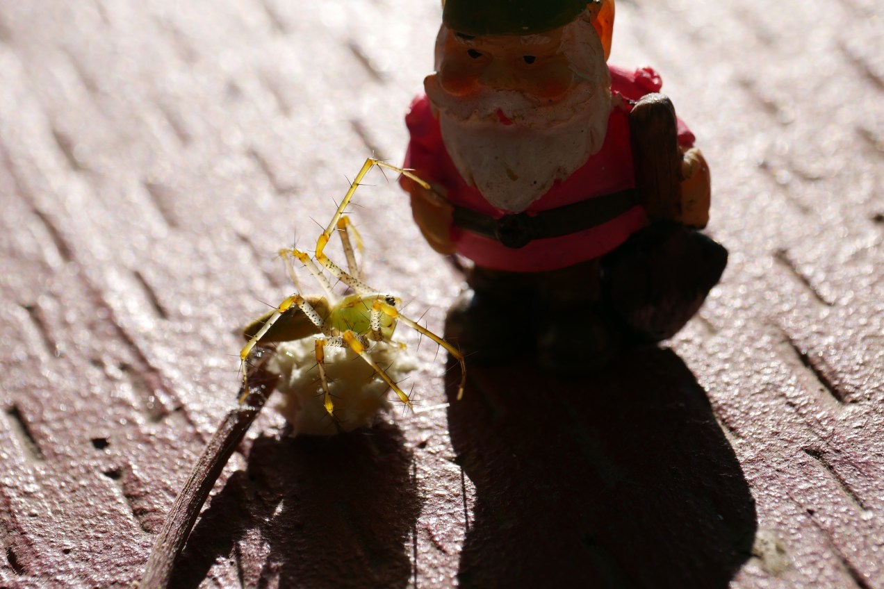 santa-gets-it